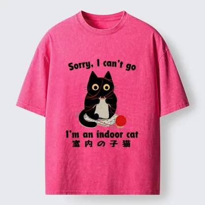 Tokyo‑Tiger Indoor Cat Meme Washed T‑Shirt