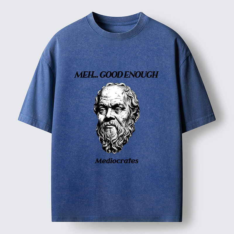 Tokyo-Tiger Meh Philosophy Meme Washed T-Shirt