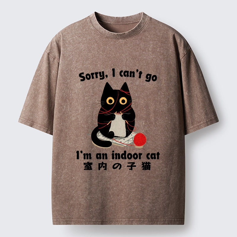 Tokyo‑Tiger Indoor Cat Meme Washed T‑Shirt