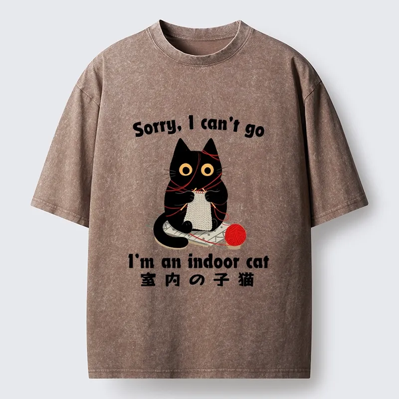 Tokyo‑Tiger Indoor Cat Meme Washed T‑Shirt