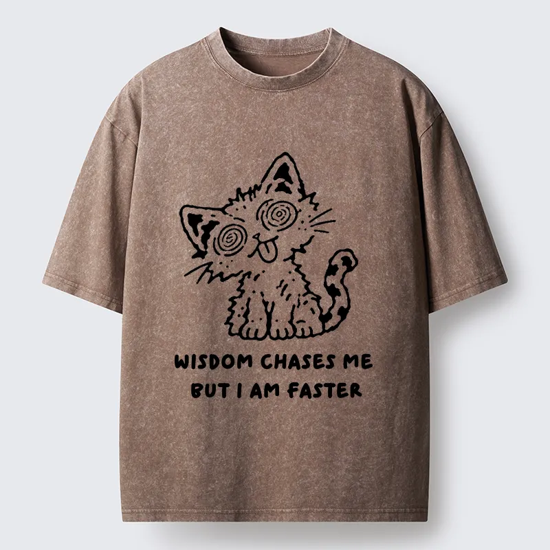 Tokyo-Tiger Escape Wisdom Cat Funny Meme Washed T-Shirt