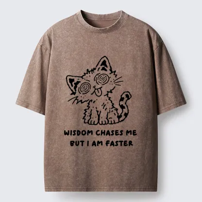 Tokyo-Tiger Escape Wisdom Cat Funny Meme Washed T-Shirt