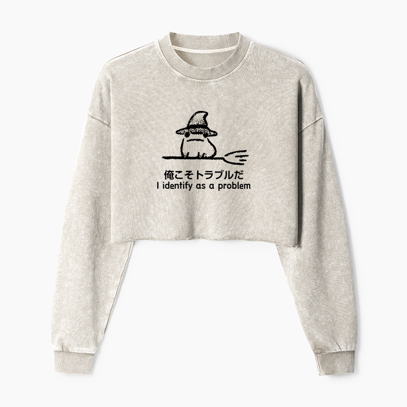 Tokyo-Tiger Mischief Magic Dude Washed Crop Sweatshirt