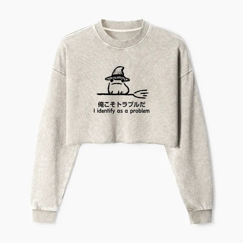 Tokyo-Tiger Mischief Magic Dude Washed Crop Sweatshirt