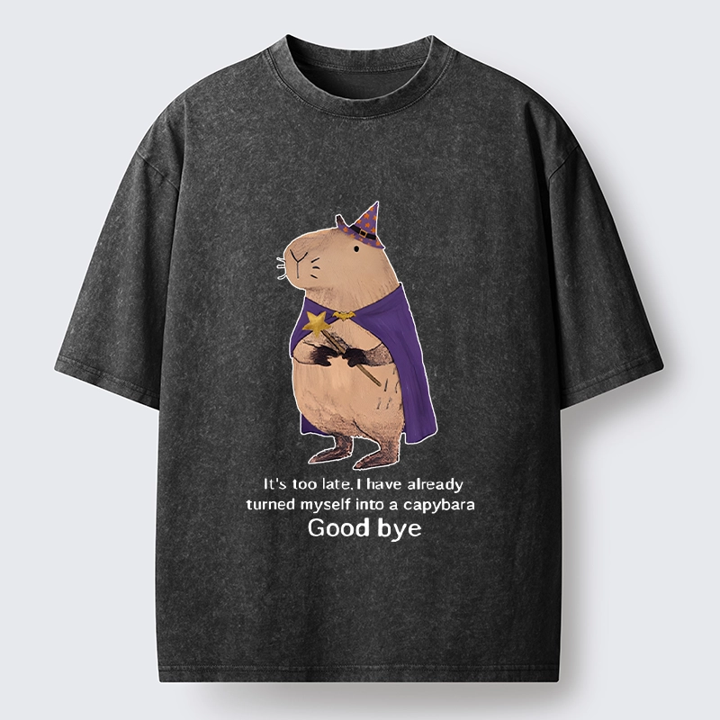 Tokyo‑Tiger Funny Wizard Capybara Washed T‑Shirt
