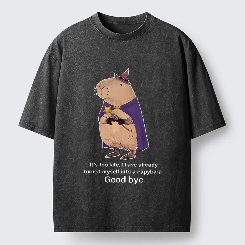 Tokyo‑Tiger Funny Wizard Capybara Washed T‑Shirt