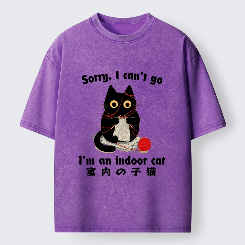 Tokyo‑Tiger Indoor Cat Meme Washed T‑Shirt