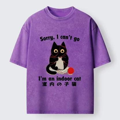 Tokyo‑Tiger Indoor Cat Meme Washed T‑Shirt