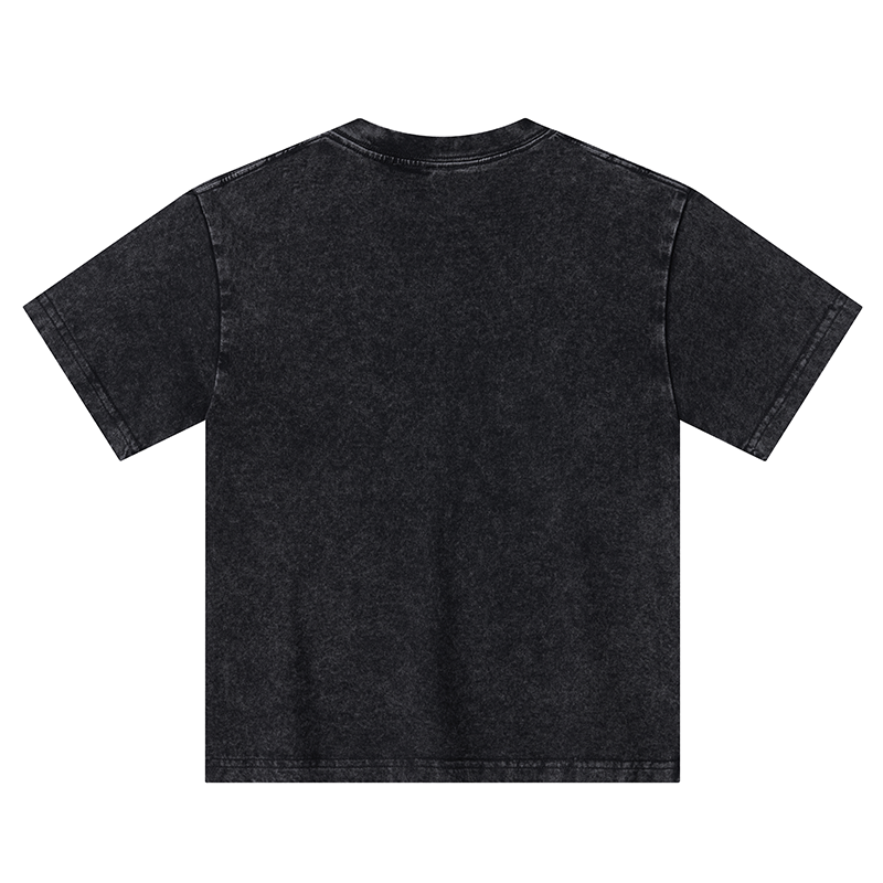 Tokyo-Tiger Japanese Train Collection Kids Washed T-Shirt