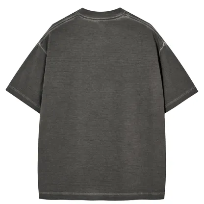 Tokyo-Tiger Hamster Eating Ramen Gradient Washed T-Shirt