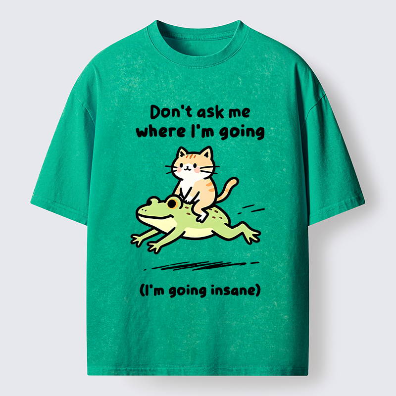 Tokyo‑Tiger Cat Riding Frog Meme Washed T-Shirt