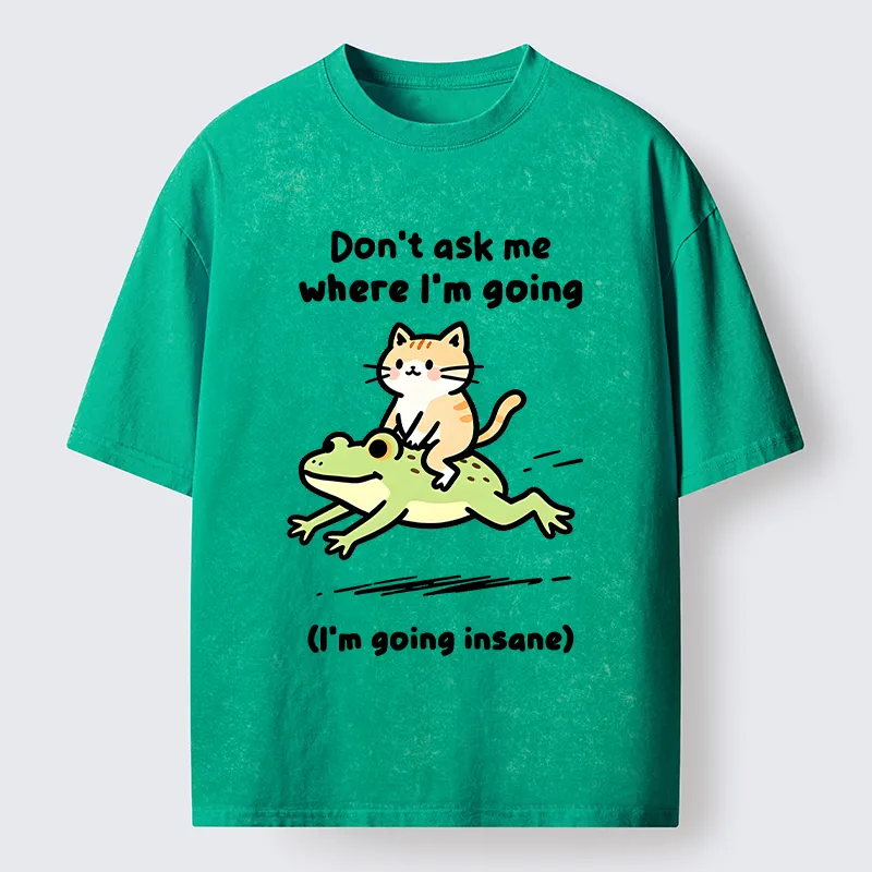 Tokyo‑Tiger Cat Riding Frog Meme Washed T-Shirt