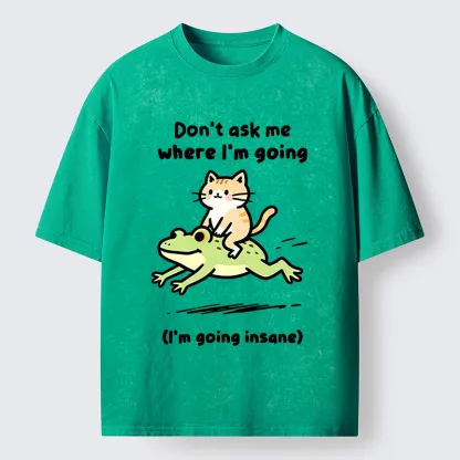 Tokyo‑Tiger Cat Riding Frog Meme Washed T-Shirt