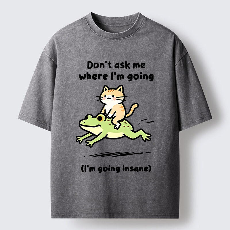 Tokyo‑Tiger Cat Riding Frog Meme Washed T-Shirt