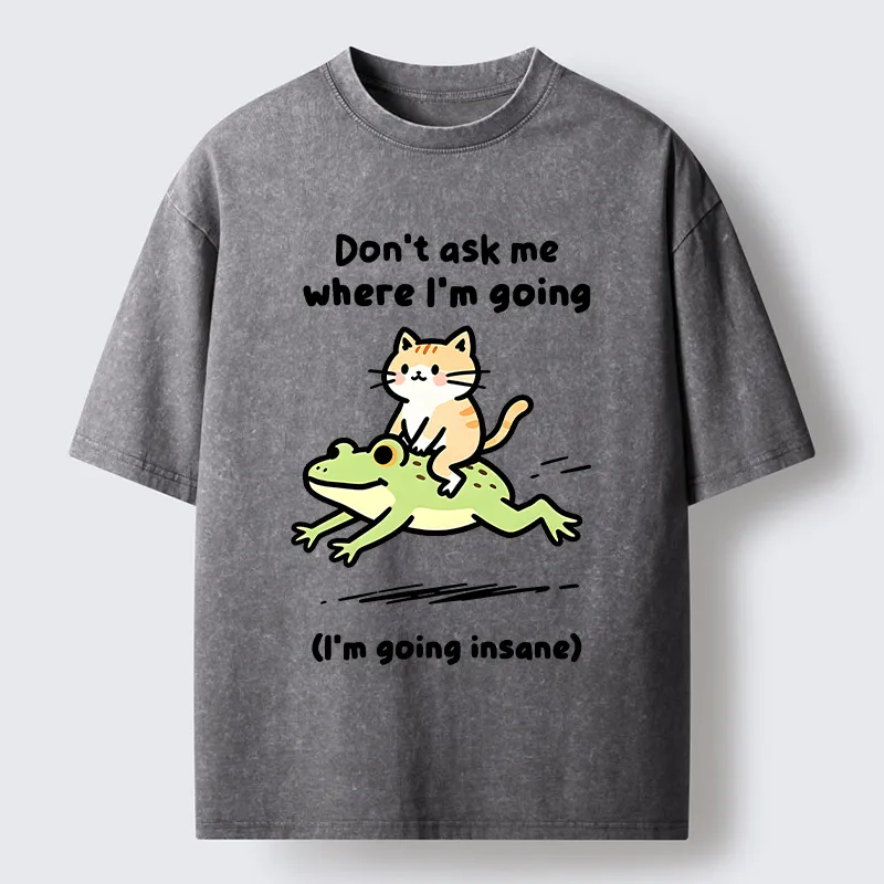 Tokyo‑Tiger Cat Riding Frog Meme Washed T-Shirt