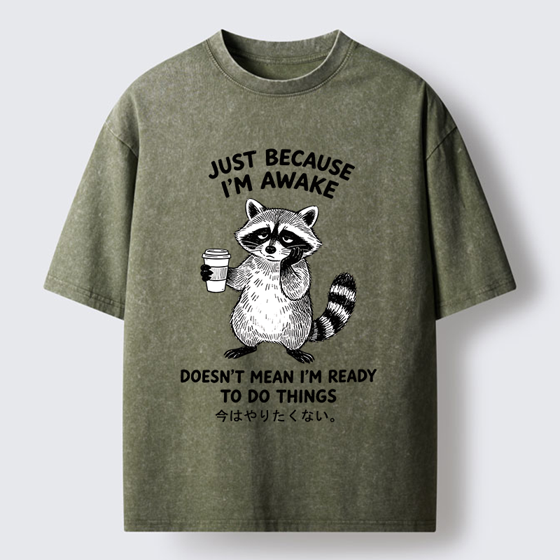 Tokyo-Tiger Tired Raccoon Coffee Washed T-Shirt