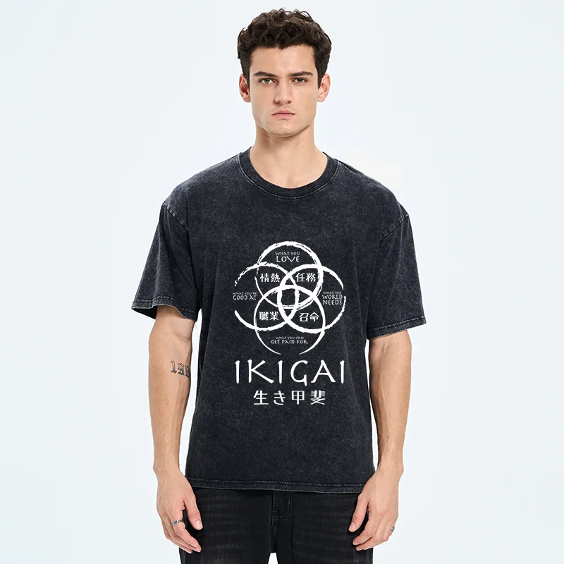 Tokyo-Tiger Life Meaning Japan Washed T-Shirt