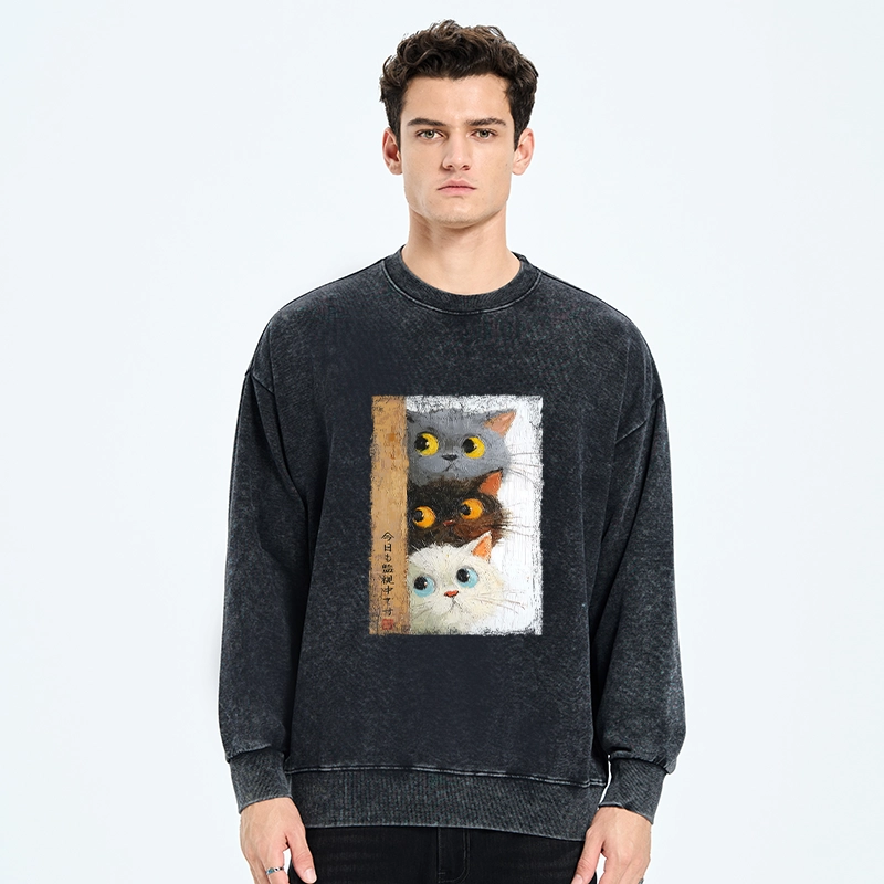 Tokyo-Tiger Three Cute Cats Watch You Washed Sweatshirt