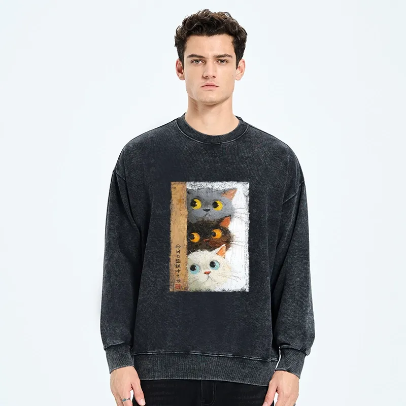 Tokyo-Tiger Three Cute Cats Watch You Washed Sweatshirt
