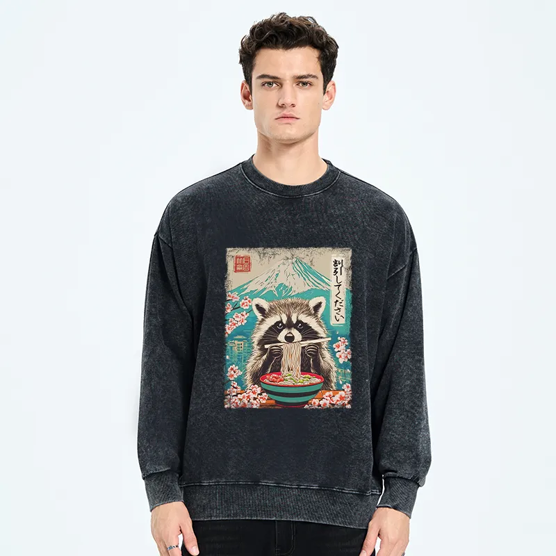 Tokyo-Tiger Please Give Raccoon A Discount Washed Sweatshirt