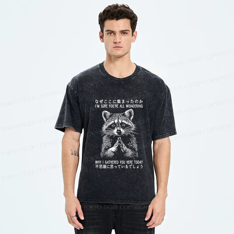 Tokyo-Tiger Something's Going On Raccoon Washed T-Shirt