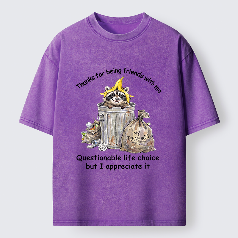 Tokyo-Tiger Funny Raccoon Friend Washed T-Shirt