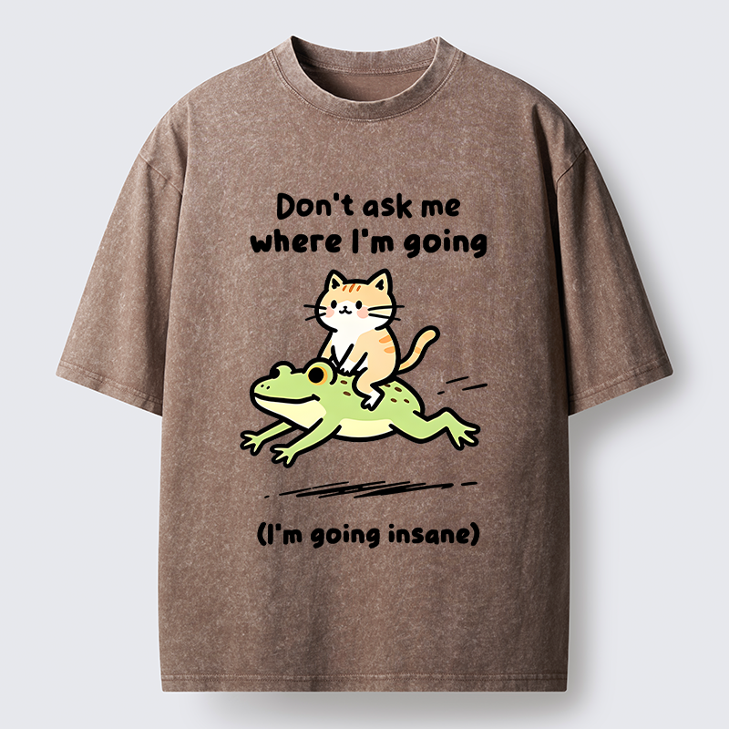 Tokyo‑Tiger Cat Riding Frog Meme Washed T-Shirt