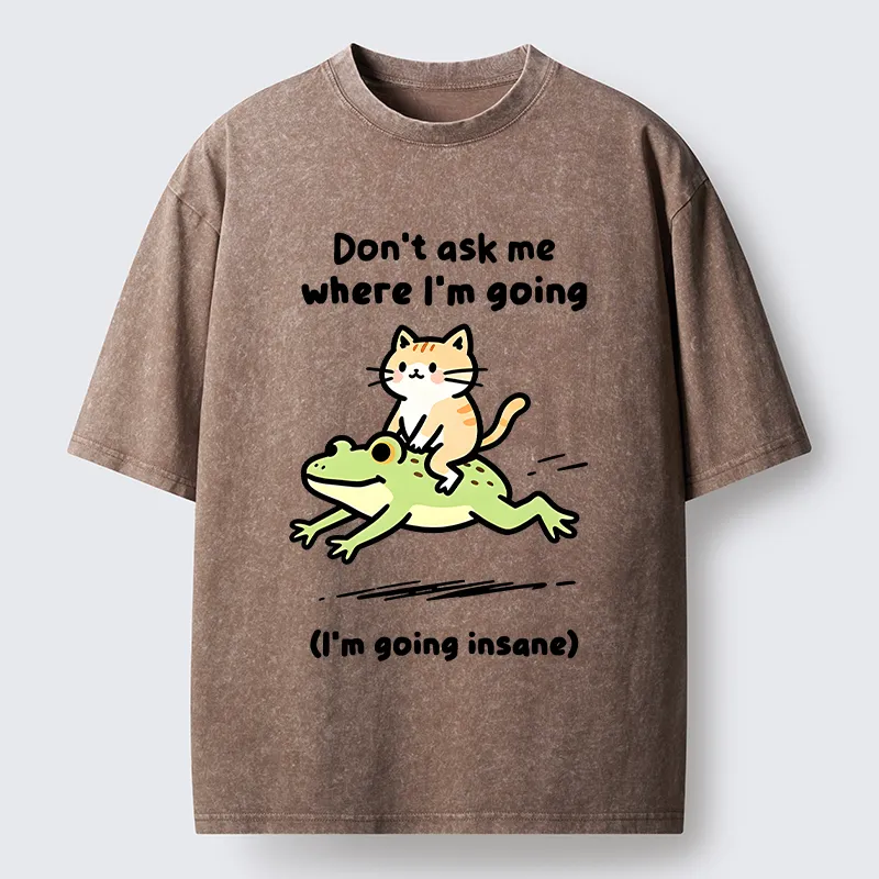 Tokyo‑Tiger Cat Riding Frog Meme Washed T-Shirt