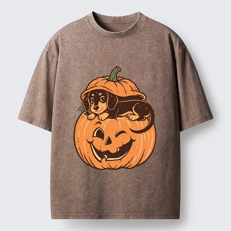 Tokyo‑Tiger Retro Pumpkin Dog Washed T‑Shirt
