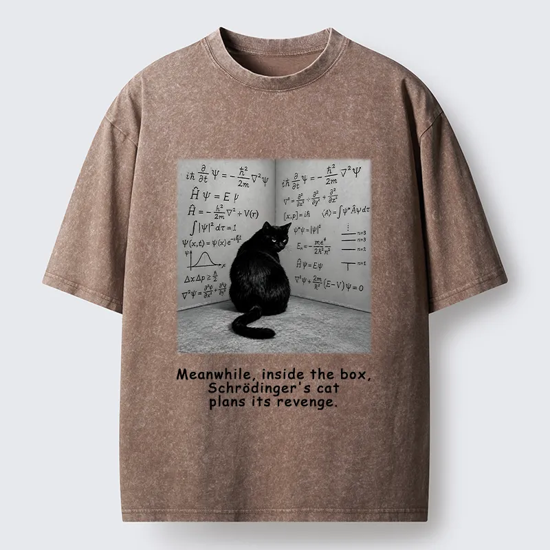 Tokyo-Tiger Box Black Cat Science Meme Washed T-Shirt