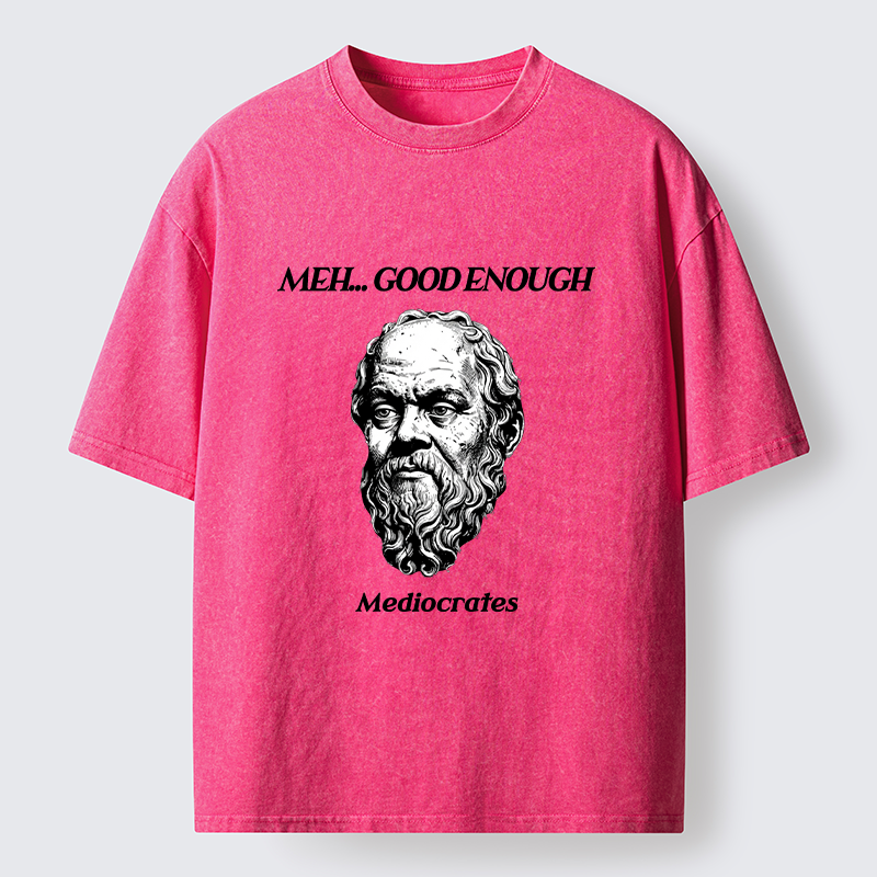 Tokyo-Tiger Meh Philosophy Meme Washed T-Shirt