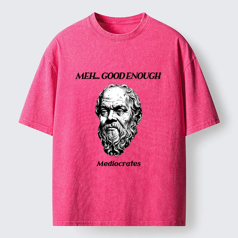 Tokyo-Tiger Meh Philosophy Meme Washed T-Shirt