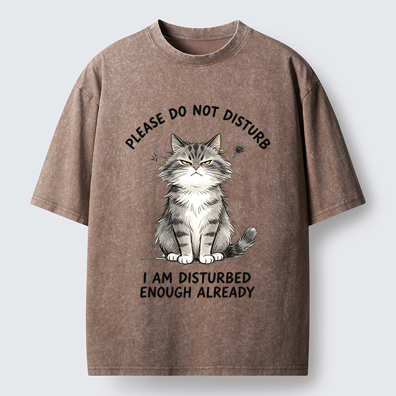 Tokyo-Tiger Funny Cute Little Cat Meme Washed T-Shirt