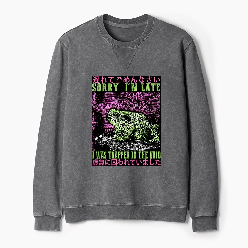 Tokyo-Tiger Frogs Trapped In The Void Washed Terry Sweatshirt