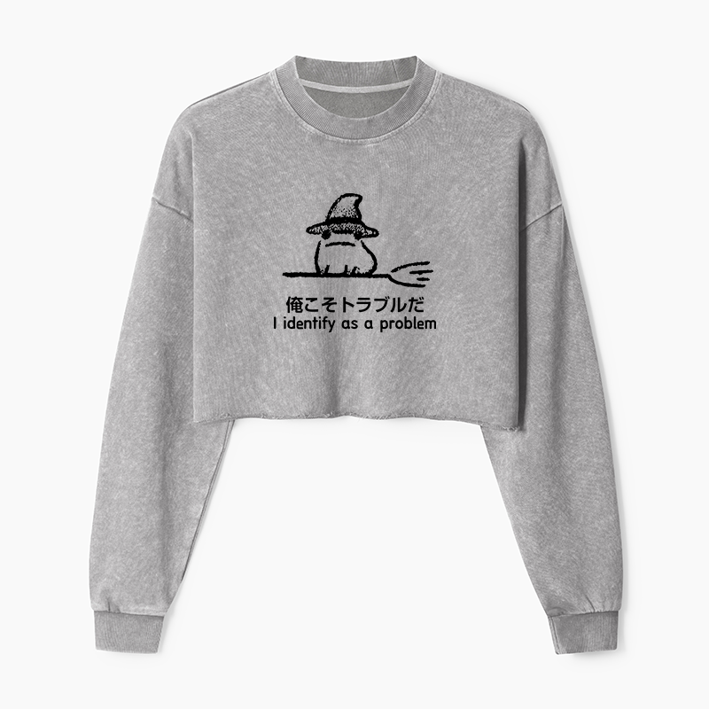 Tokyo-Tiger Mischief Magic Dude Washed Crop Sweatshirt