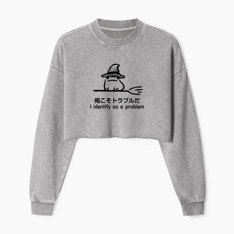 Tokyo-Tiger Mischief Magic Dude Washed Crop Sweatshirt