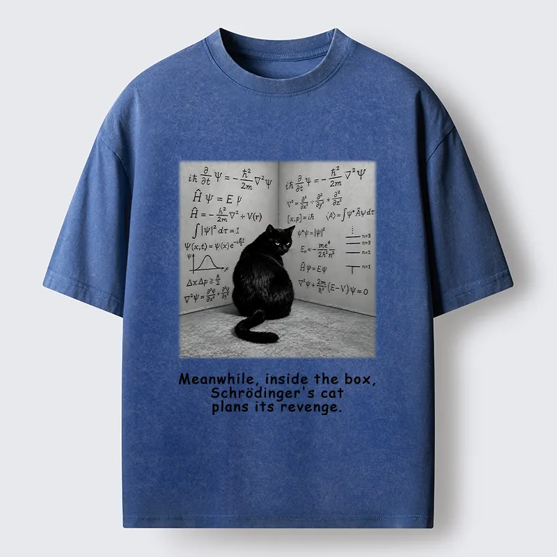 Tokyo-Tiger Box Black Cat Science Meme Washed T-Shirt
