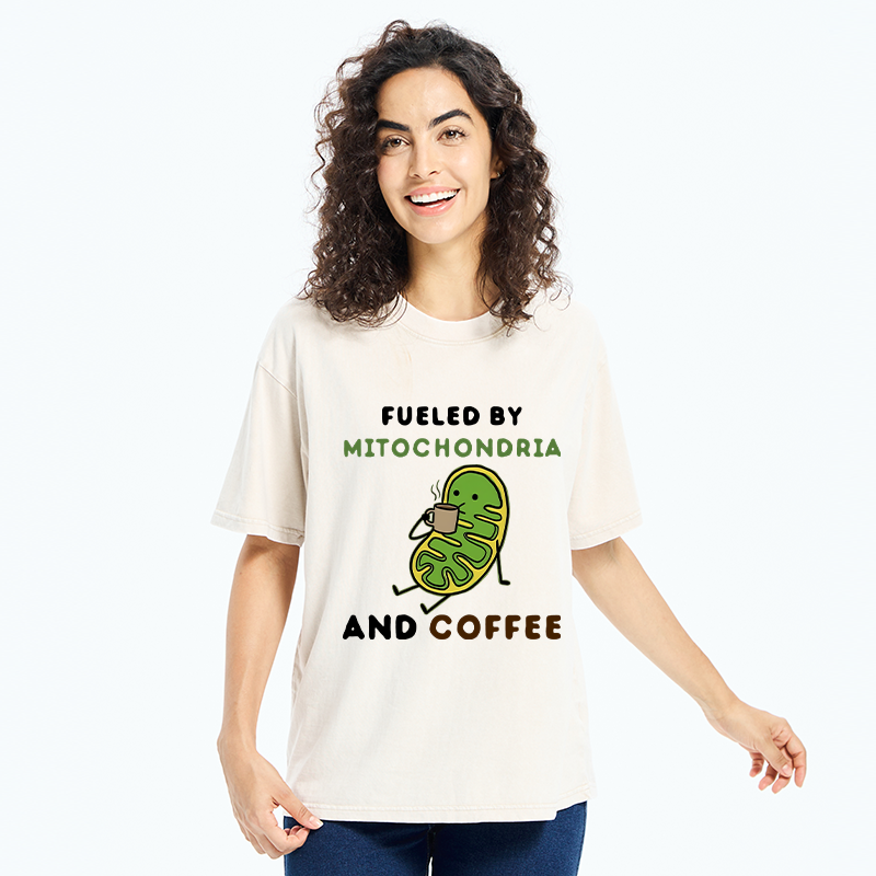Tokyo-Tiger Two Sources Energy Funny Meme Washed T-Shirt