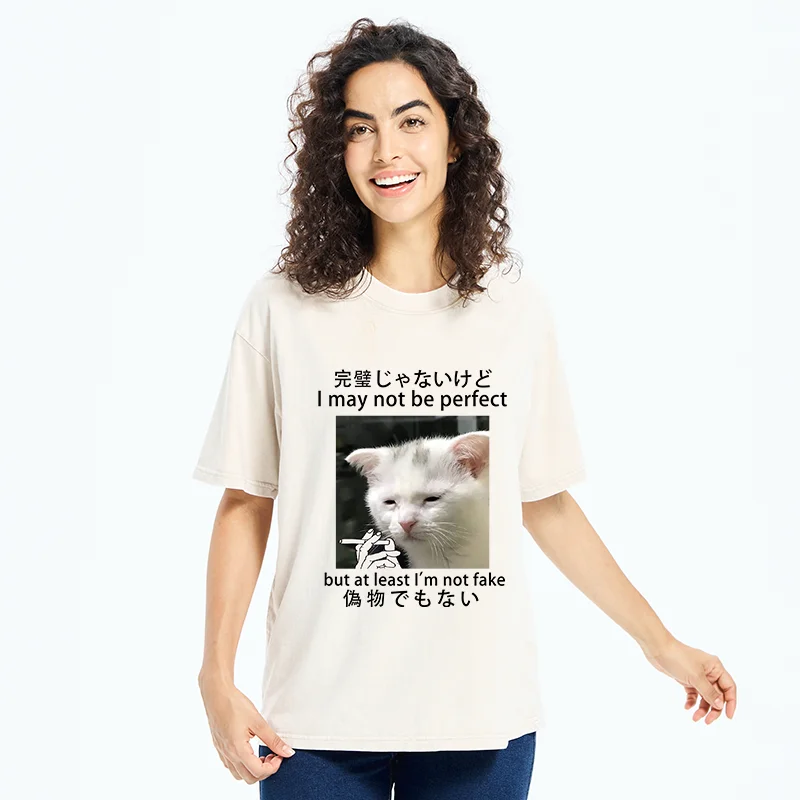 Tokyo-Tiger Cat Lamenting Life Washed T-Shirt