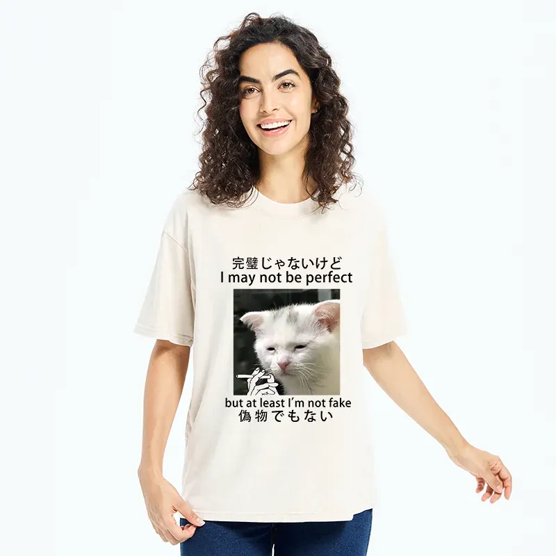 Tokyo-Tiger Cat Lamenting Life Washed T-Shirt