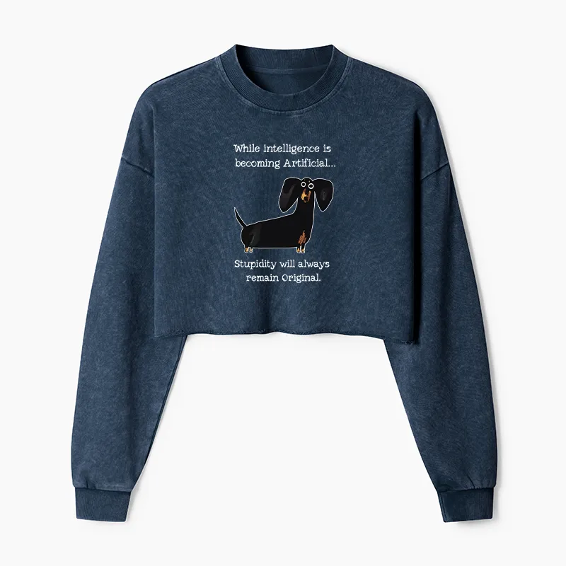 Tokyo-Tiger Dachshund Real Humor Funny Meme Washed Crop Sweatshirt