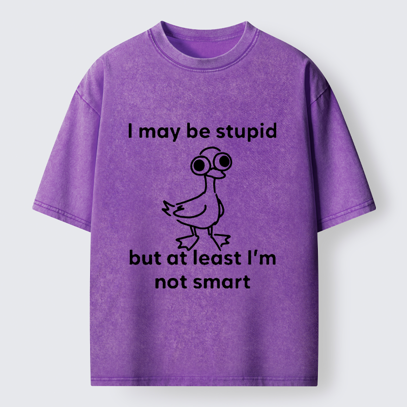 Tokyo‑Tiger Silly Duck Meme Washed T‑Shirt