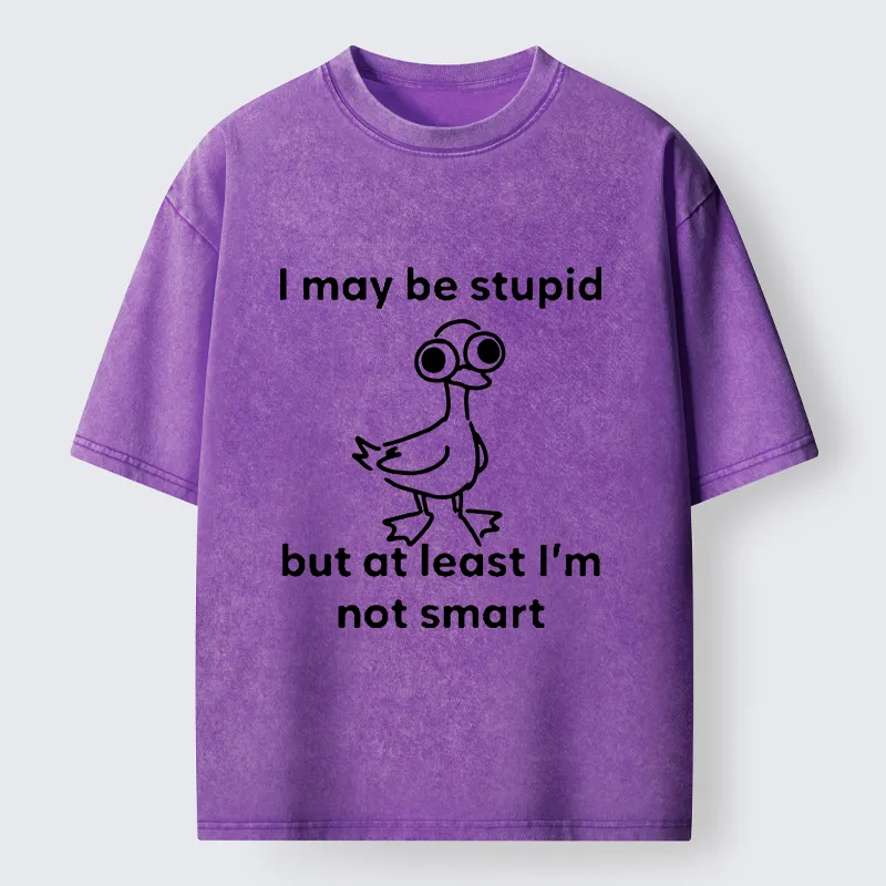Tokyo‑Tiger Silly Duck Meme Washed T‑Shirt