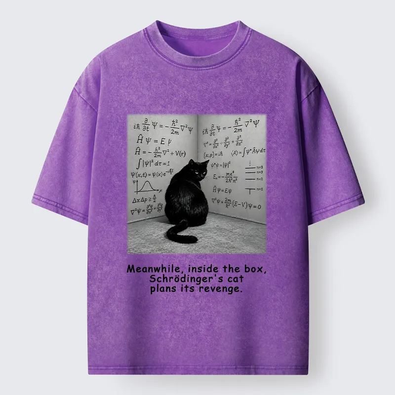 Tokyo-Tiger Box Black Cat Science Meme Washed T-Shirt