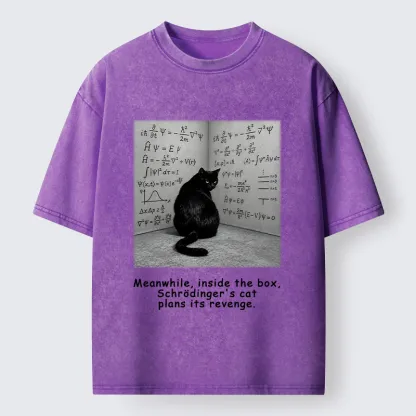 Tokyo-Tiger Box Black Cat Science Meme Washed T-Shirt