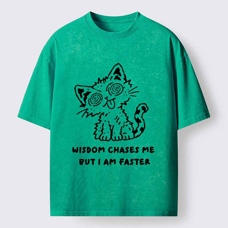 Tokyo-Tiger Escape Wisdom Cat Funny Meme Washed T-Shirt