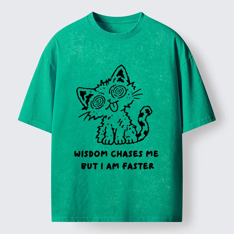Tokyo-Tiger Escape Wisdom Cat Funny Meme Washed T-Shirt
