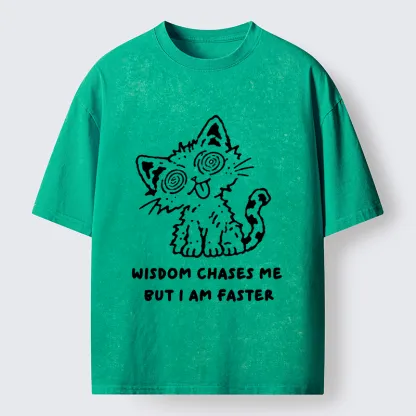 Tokyo-Tiger Escape Wisdom Cat Funny Meme Washed T-Shirt