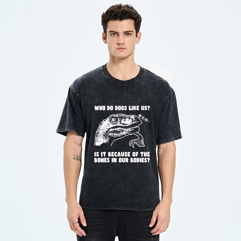 Tokyo-Tiger Thinking Philosoraptor Washed T-Shirt