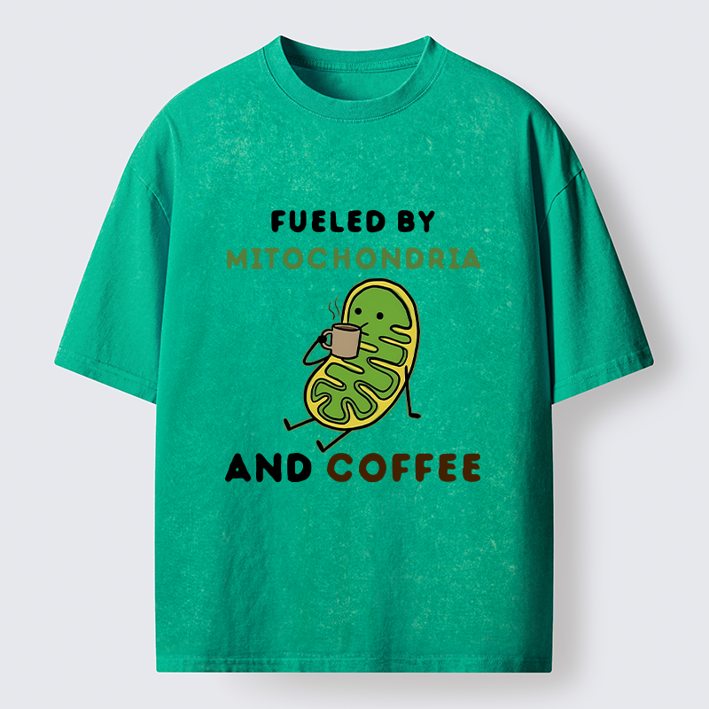 Tokyo-Tiger Two Sources Energy Funny Meme Washed T-Shirt